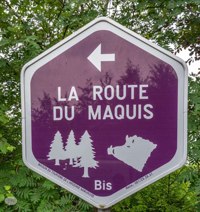 Dans cet article, je vais te parler du petit rallye que tu peux faire en Belgique sous le nom de « La Route des Maquis ».

Personnellement, Nous avons aimé cette balade en van aménagé.